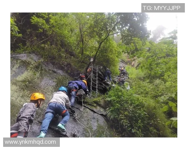南京攀岩队勇攀高峰的极限运动之路与突破历程全景回顾