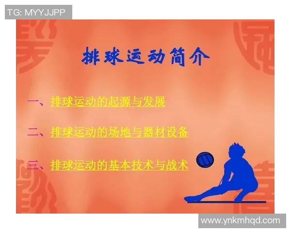 南京排球队的战术分析与控制能力的得失探讨