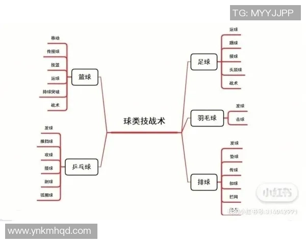 成都篮球队快攻战术解析与战绩影响的深度剖析