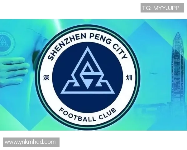 深圳足球队的精神之旅：深度解析球队的文化与信念