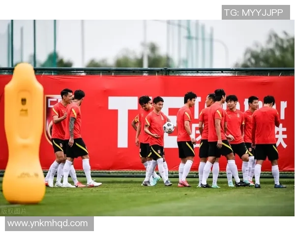 延边被国与陕西队激战正酣比赛结果揭晓引发球迷热议