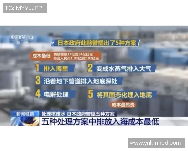 日本对阵叙利亚的专家分析与推荐策略详解