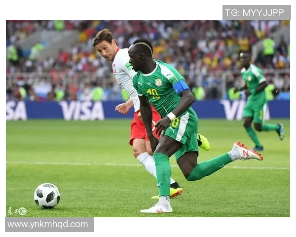 波兰与塞内加尔比赛水位分析及投注建议探讨