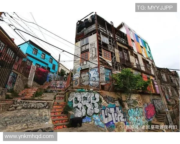 特木科与智利大学的较量：谁能在南美洲学术舞台上脱颖而出