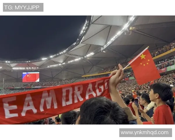 韩国vs中国录像回放