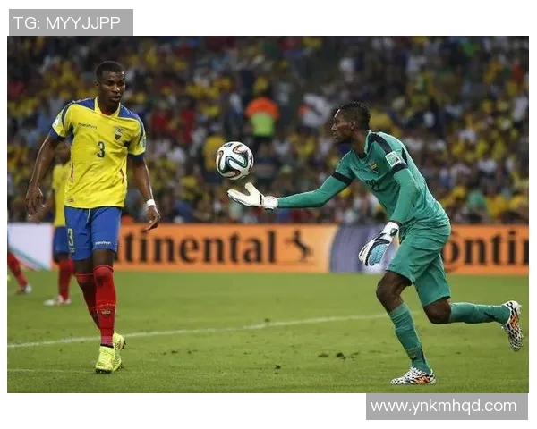 2019年乌拉圭与厄瓜多尔精彩对决回顾与分析