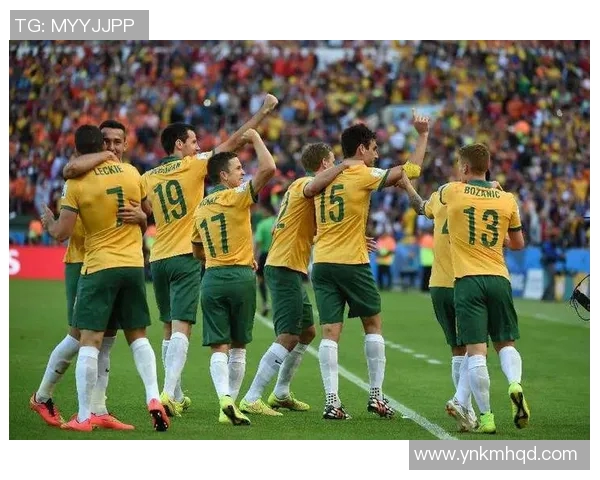 几内亚与米比亚的精彩对决分析及比赛前瞻展望